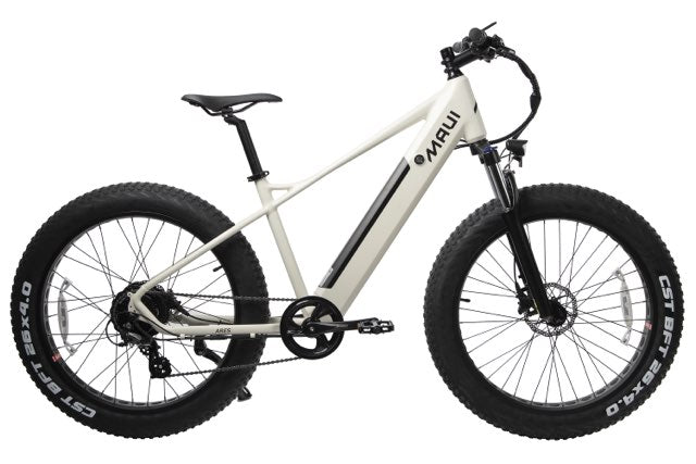 ARES Electric Fat Bike