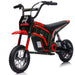 Electric Dirt Bike Motorcycle for Kids, 24V 350W Motor, Max 24 km/h with MP3 and Suspension
