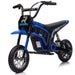 Electric Dirt Bike Motorcycle for Kids, 24V 350W Motor, Max 24 km/h with MP3 and Suspension